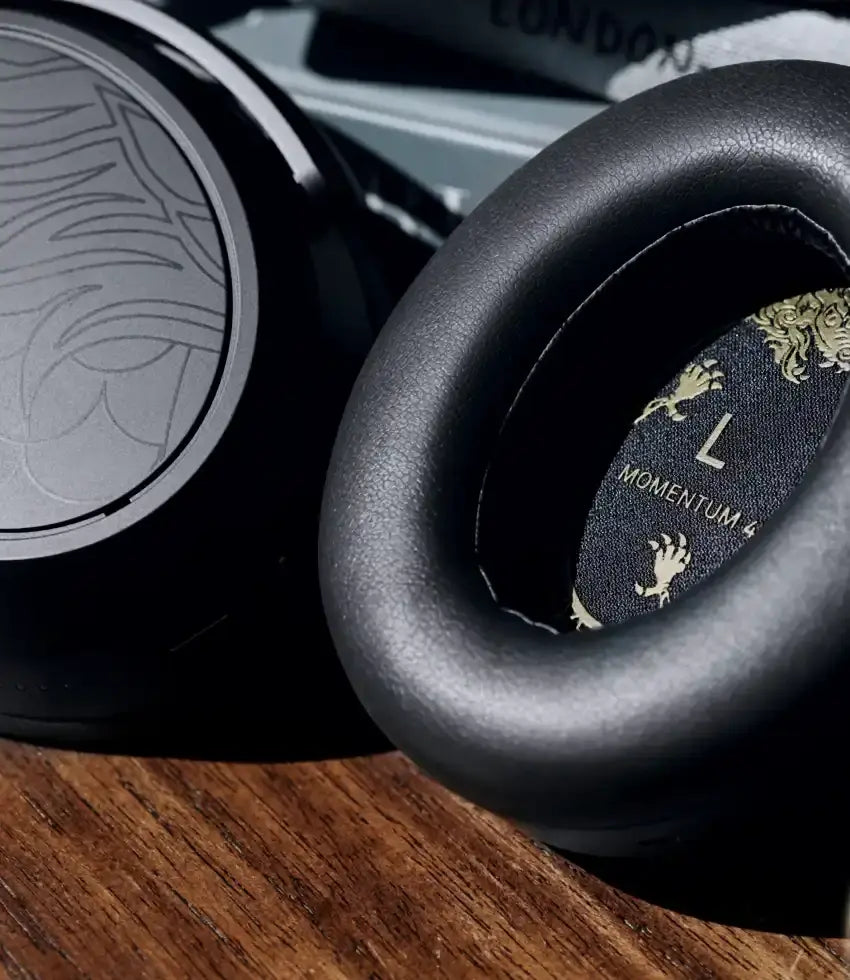 Momentum Sport Img 02