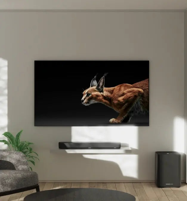 Momentum Sport Img 02