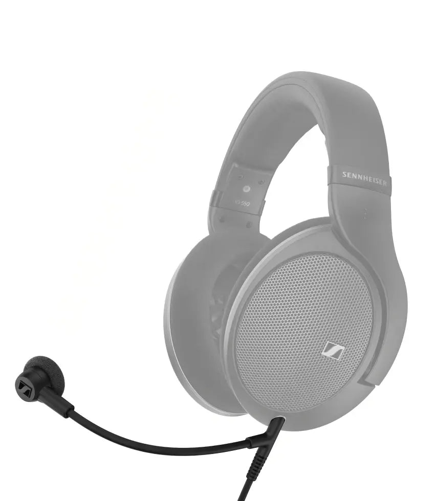 Momentum Sport Img 02