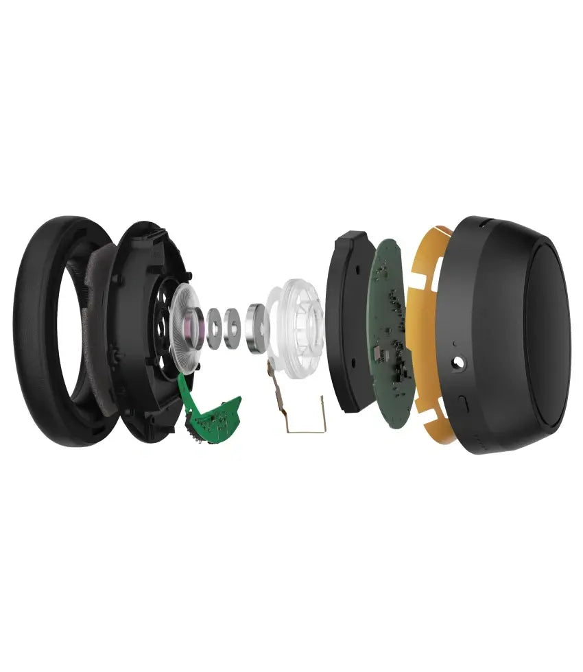 Momentum Sport Img 02